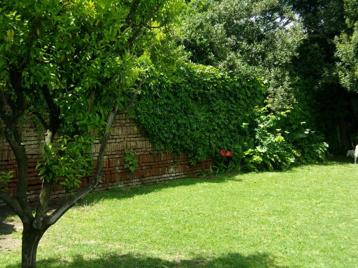 La Posada De Don Segundo 圣安东尼奥德阿雷科 外观 照片